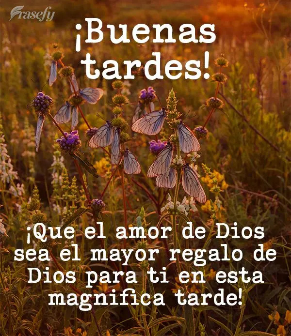 ¡Que el amor de Dios sea el mayor regalo de Dios para ti en esta magnifica tarde! ¡Buenas tardes!