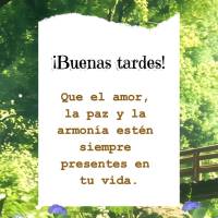 Que el amor, la paz y la armonía estén siempre presentes en tu vida. ¡Buenas tardes!