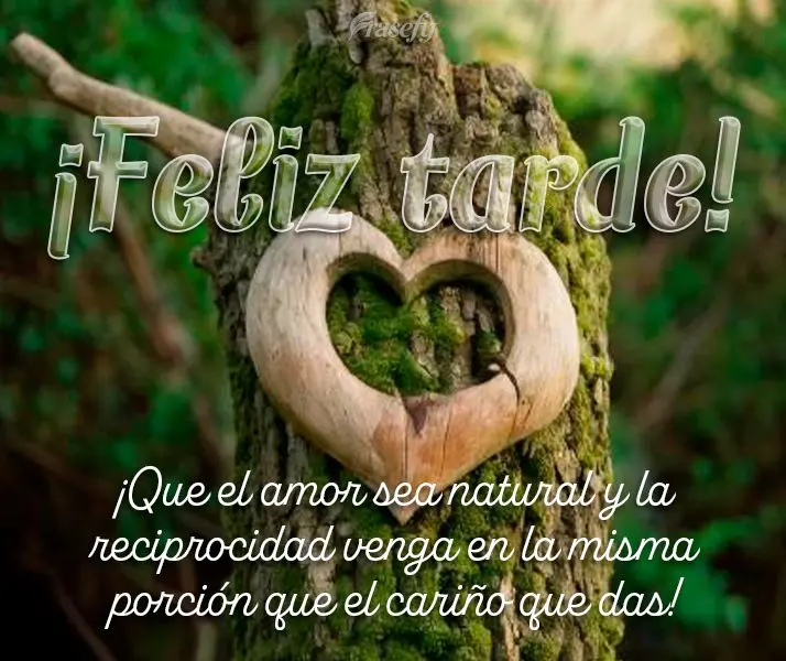 ¡Que el amor sea natural y la reciprocidad venga en la misma porción que el cariño que das! ¡Feliz tarde!
