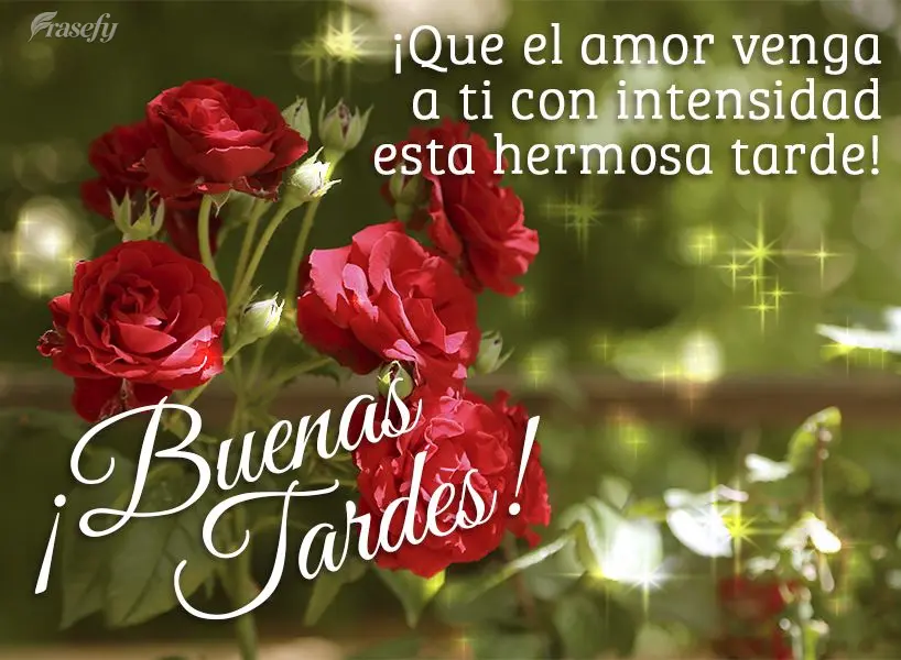 ¡Que el amor venga a ti con intensidad esta hermosa tarde! ¡Buenas tardes!