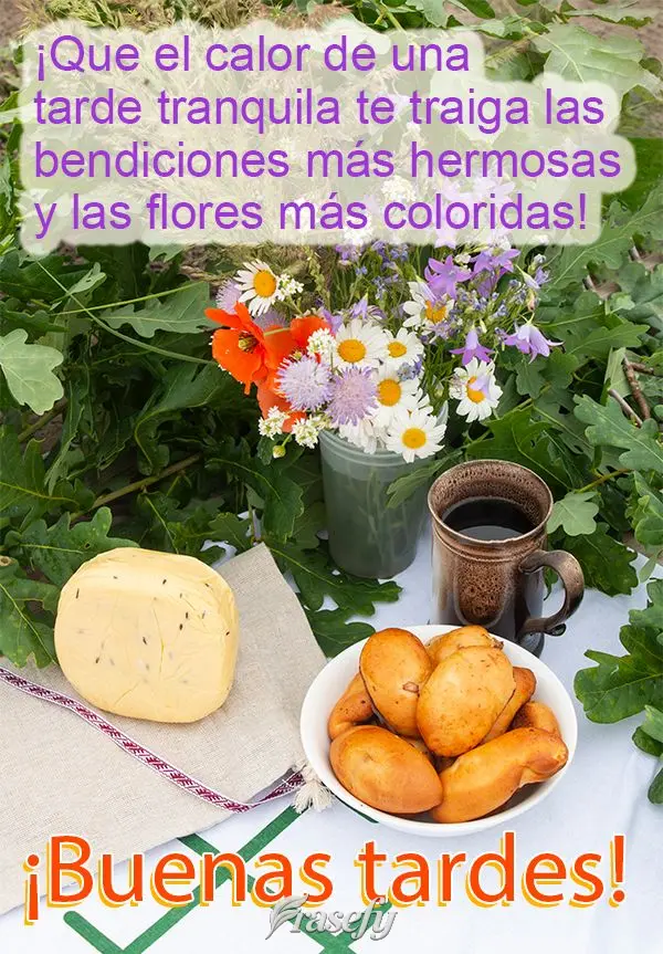¡Que el calor de una tarde tranquila te traiga las bendiciones más hermosas y las flores más coloridas! ¡Buenas tardes!