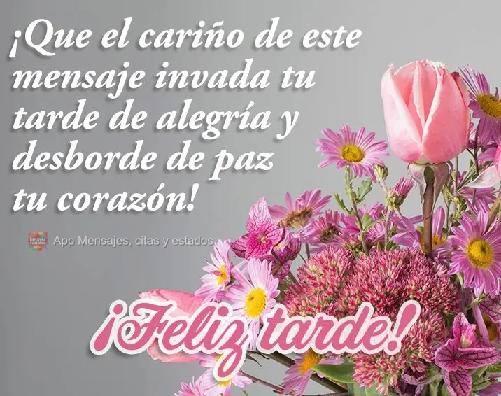 ¡Que el cariño de este mensaje invada tu tarde de alegría y desborde de paz tu corazón! ¡Feliz tarde!
