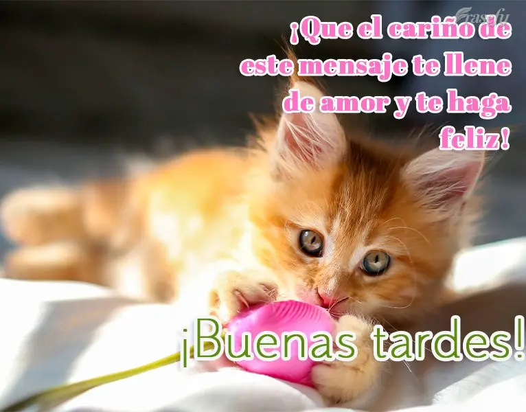 ¡Que el cariño de este mensaje te llene de amor y te haga feliz! ¡Buenas tardes!