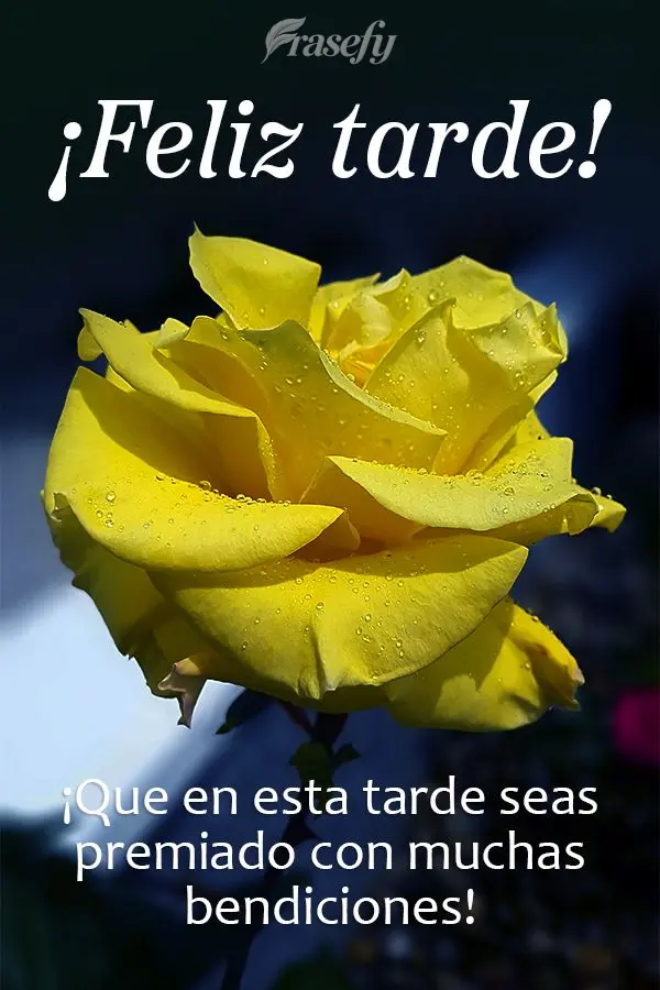 ¡Que en esta tarde seas premiado con muchas bendiciones! ¡Feliz tarde!