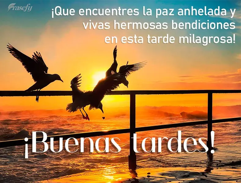 ¡Que encuentres la paz anhelada y vivas hermosas bendiciones en esta tarde milagrosa! ¡Buenas tardes!