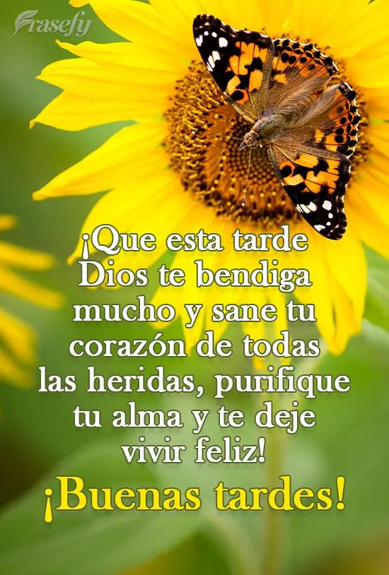 ¡Que esta tarde Dios te bendiga mucho y sane tu corazón de todas las heridas, purifique tu alma y te deje vivir feliz! ¡Buenas tardes!