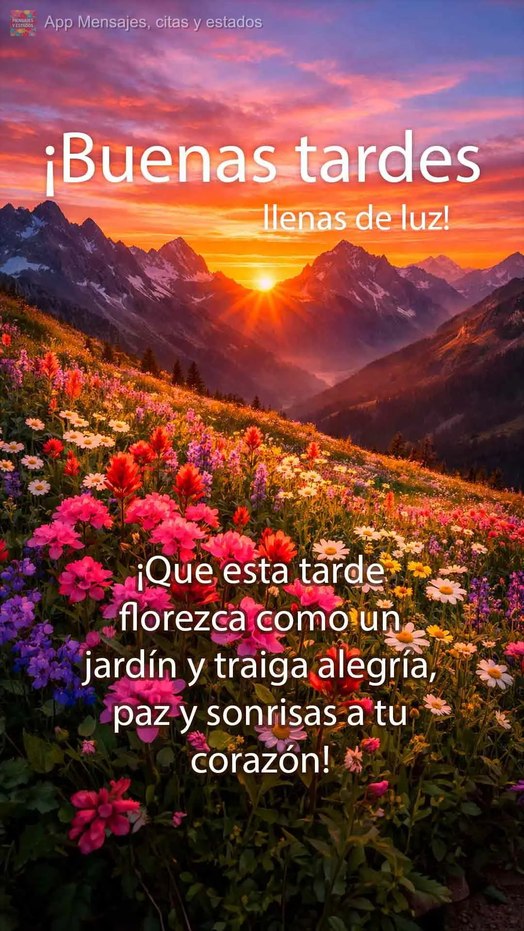 ¡Que esta tarde florezca como un jardín y traiga alegría, paz y sonrisas a tu corazón! ¡Buenas tardes, llenas de luz!