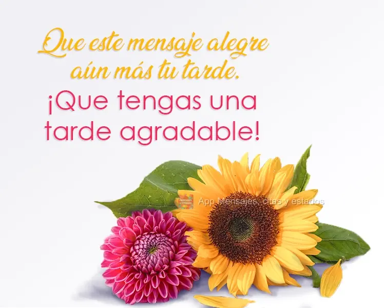 Que este mensaje alegre aún más tu tarde. ¡Que tengas una tarde agradable!