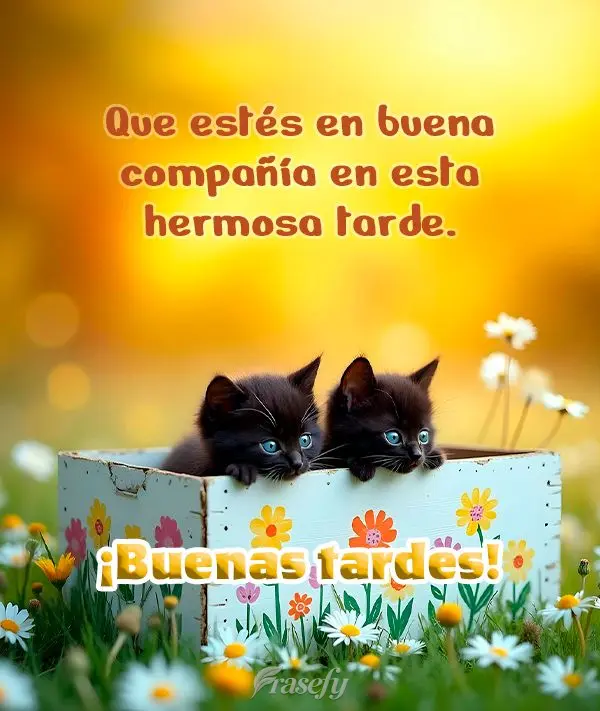 Que estés en buena compañía en esta hermosa tarde. ¡Buenas tardes!