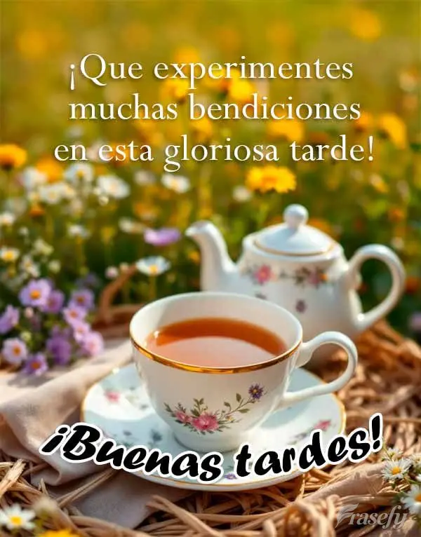 ¡Que experimentes muchas bendiciones en esta gloriosa tarde! ¡Buenas tardes!