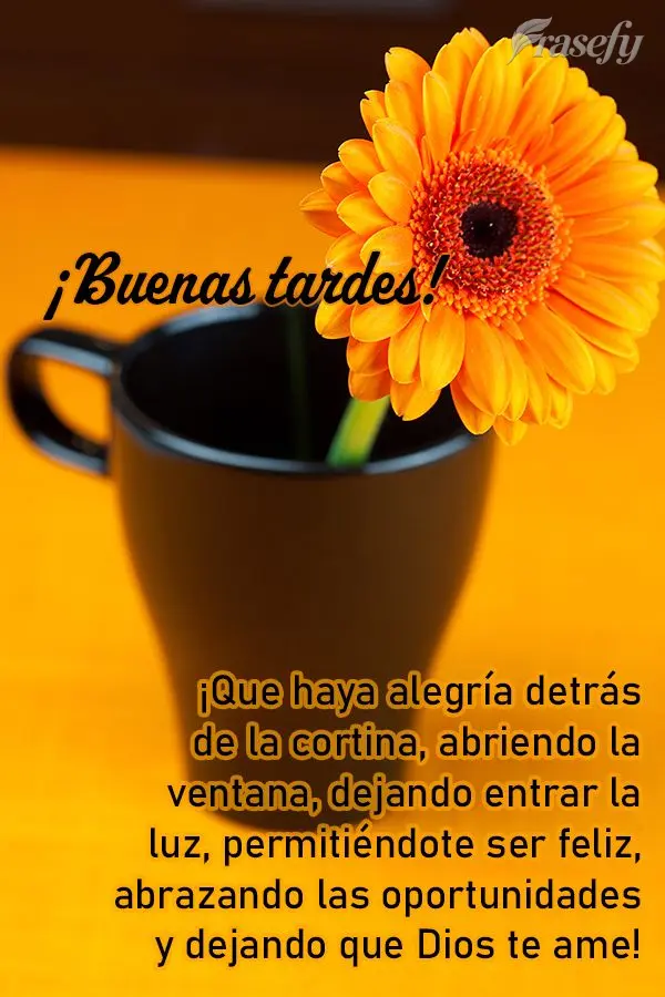 ¡Que haya alegría detrás de la cortina, abriendo la ventana, dejando entrar la luz, permitiéndote ser feliz, abrazando las oportunidades y dejando qu...