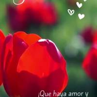 ¡Que haya amor y alegría para deleitar tus ojos y calentar tu corazón! ¡Buenas tardes!