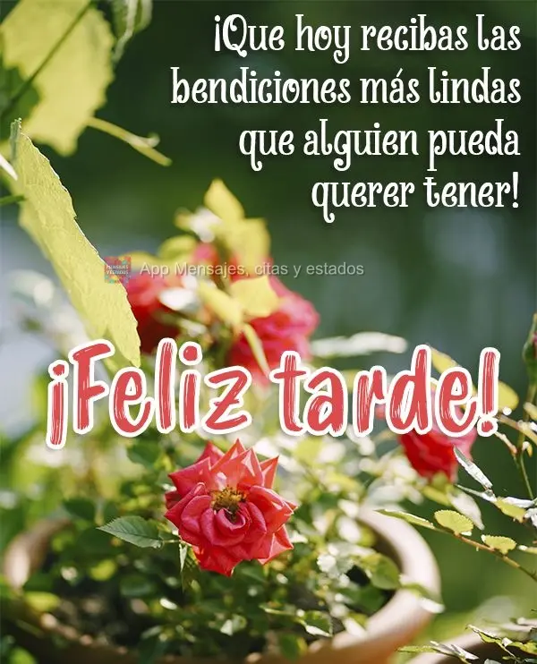 ¡Que hoy recibas las bendiciones más lindas que alguien pueda querer tener! ¡Feliz tarde!