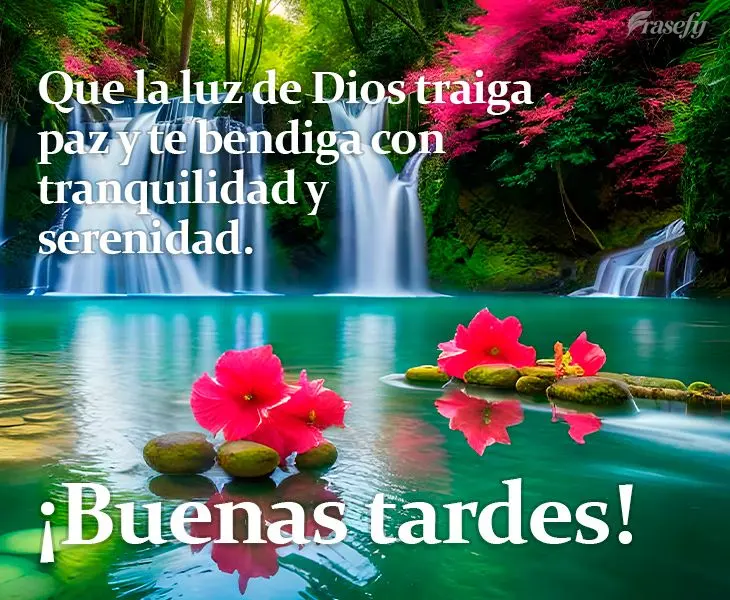 Que la luz de Dios traiga paz y te bendiga con tranquilidad y serenidad. ¡Buenas tardes!