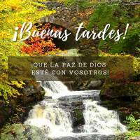 ¡Que la paz de Dios esté con vosotros! ¡Buenas tardes!