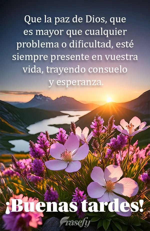 Que la paz de Dios, que es mayor que cualquier problema o dificultad, esté siempre presente en vuestra vida, trayendo consuelo y esperanza. ¡Buenas tar...