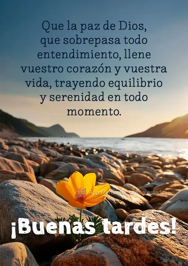 Que la paz de Dios, que sobrepasa todo entendimiento, llene vuestro corazón y vuestra vida, trayendo equilibrio y serenidad en todo momento. ¡Buenas ta...