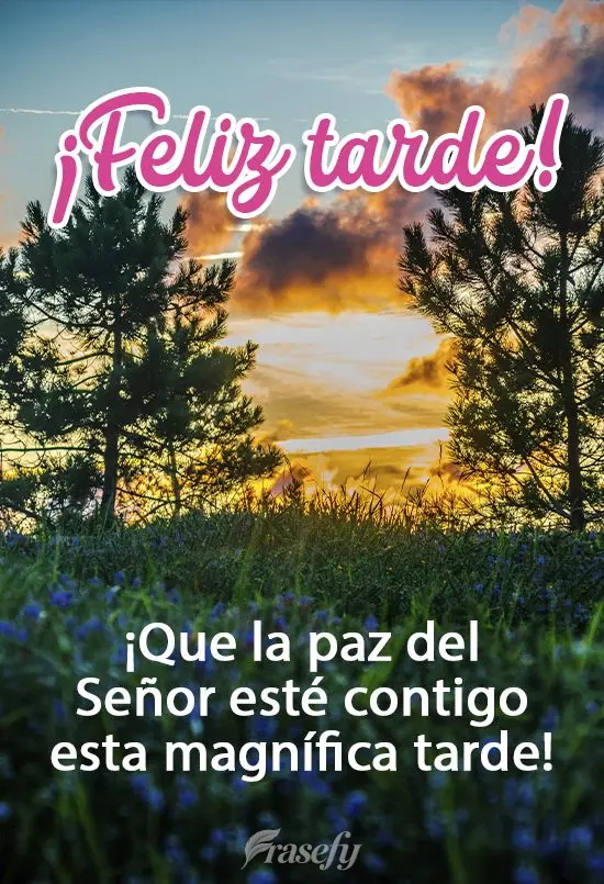¡Que la paz del Señor esté contigo esta magnífica tarde! ¡Feliz tarde!