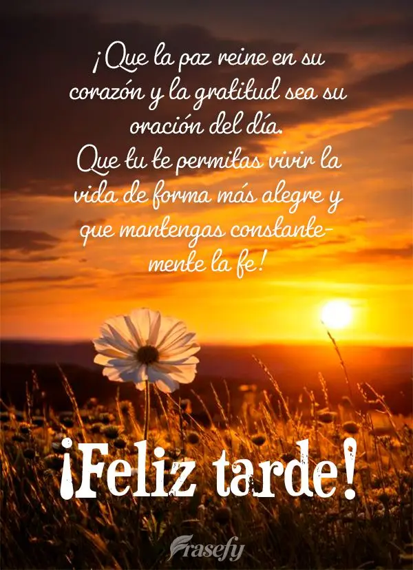 ¡Que la paz reine en su corazón y la gratitud sea su oración del día. Que tu te permitas vivir la vida de forma más alegre y que mantengas constante...