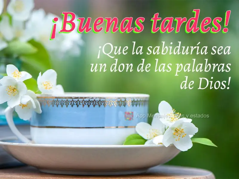 ¡Que la sabiduría sea un don de las palabras de Dios! ¡Buenas tardes!