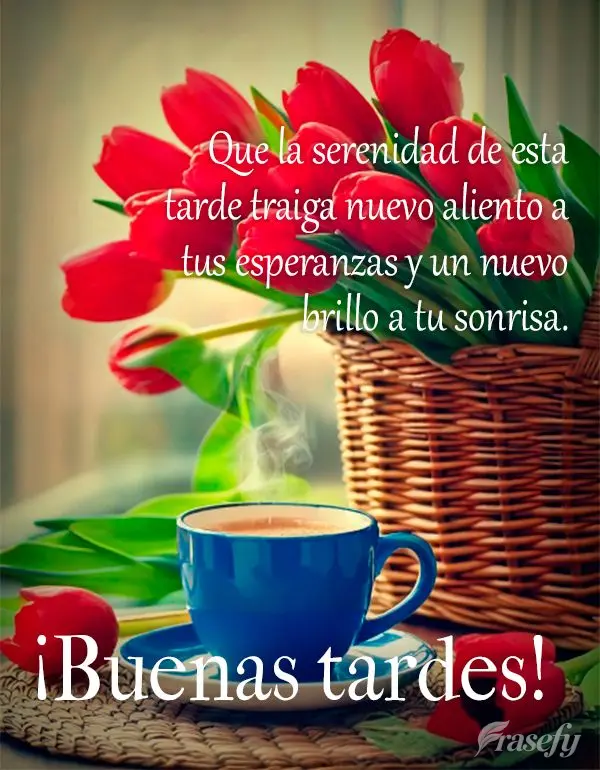 Que la serenidad de esta tarde traiga nuevo aliento a tus esperanzas y un nuevo brillo a tu sonrisa. ¡Buenas tardes!