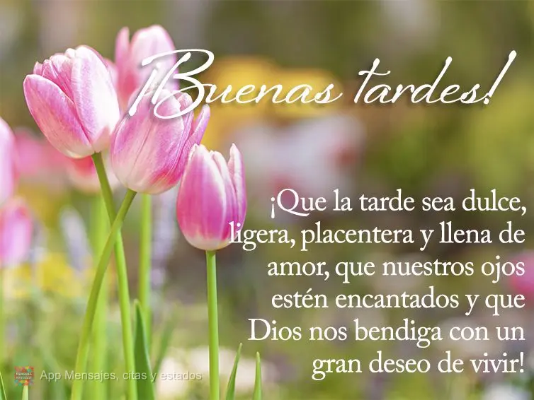 ¡Que la tarde sea dulce, ligera, placentera y llena de amor, que nuestros ojos estén encantados y que Dios nos bendiga con un gran deseo de vivir! ¡Bu...