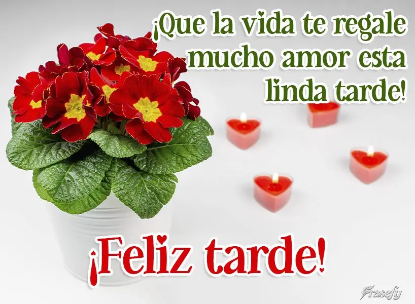 ¡Que la vida te regale mucho amor esta linda tarde! ¡Feliz tarde!