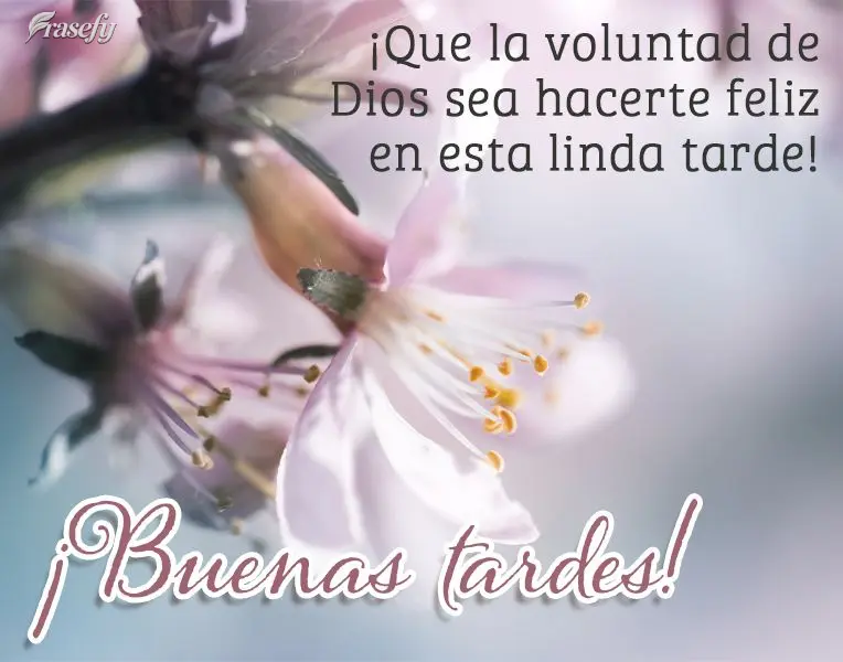 ¡Que la voluntad de Dios sea hacerte feliz en esta linda tarde! ¡Buenas tardes!