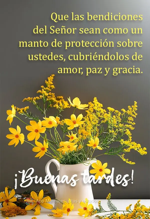 Que las bendiciones del Señor sean como un manto de protección sobre ustedes, cubriéndolos de amor, paz y gracia. ¡Buenas tardes!