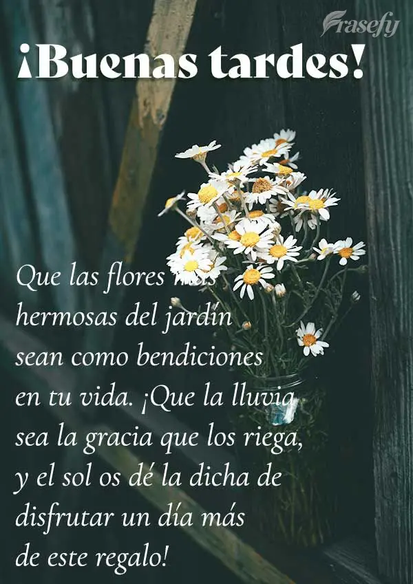 Que las flores más hermosas del jardín sean como bendiciones en tu vida. ¡Que la lluvia sea la gracia que los riega, y el sol os dé la dicha de disfr...