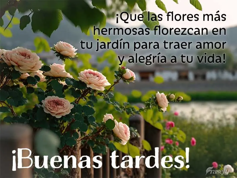¡Que las flores más hermosas florezcan en tu jardín para traer amor y alegría a tu vida! ¡Buenas tardes!