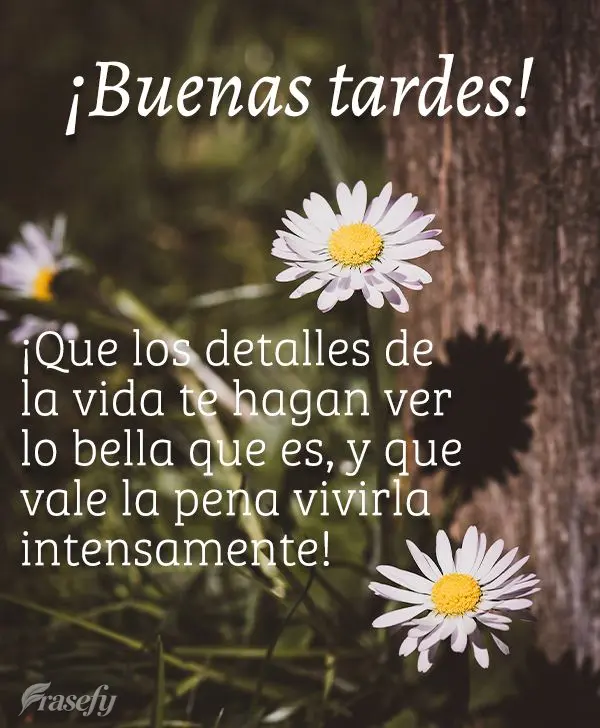 ¡Que los detalles de la vida te hagan ver lo bella que es, y que vale la pena vivirla intensamente! ¡Buenas tardes!