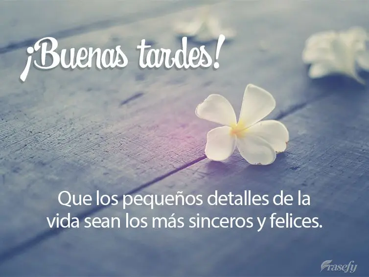 Que los pequeños detalles de la vida sean los más sinceros y felices. ¡Buenas tardes!