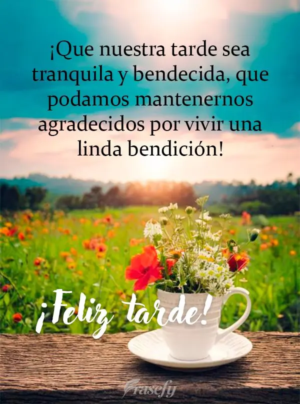 ¡Que nuestra tarde sea tranquila y bendecida, que podamos mantenernos agradecidos por vivir una linda bendición! ¡Feliz tarde!