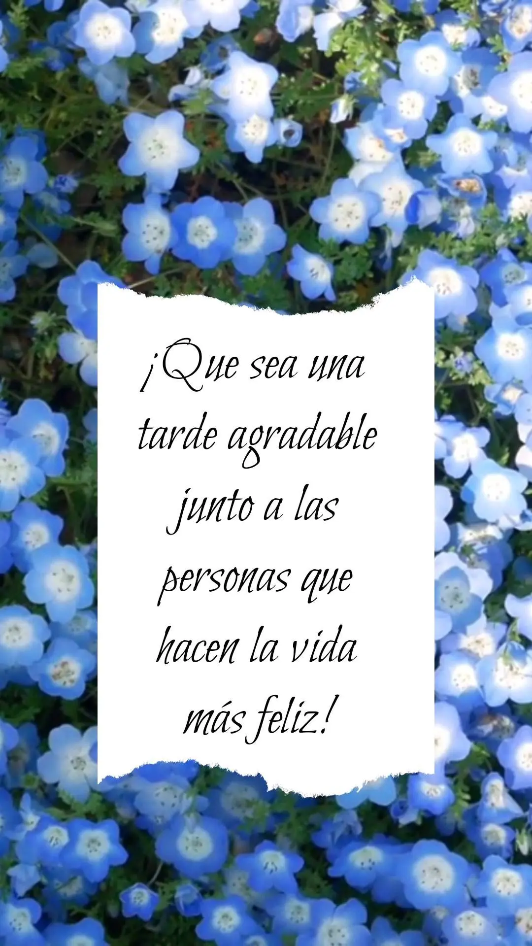 ¡Que sea una tarde agradable junto a las personas que hacen la vida más feliz!