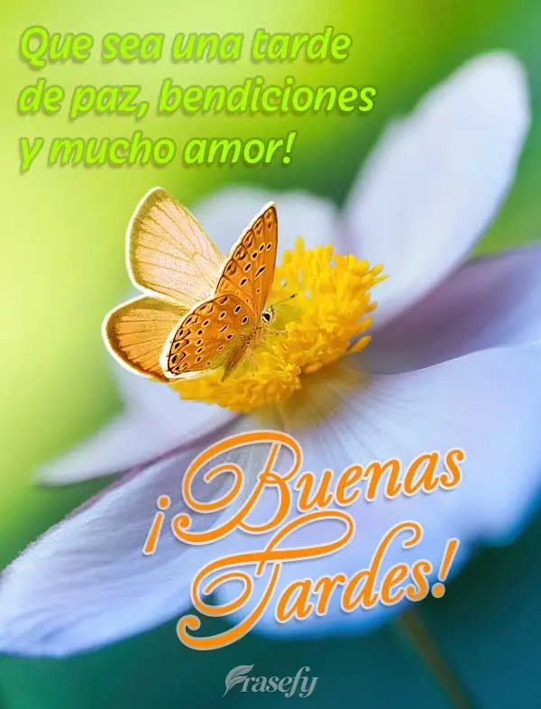 Que sea una tarde de paz, bendiciones y mucho amor! ¡Buenas tardes!