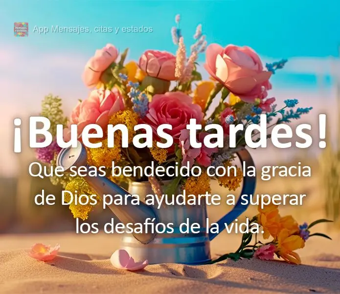 Que seas bendecido con la gracia de Dios para ayudarte a superar los desafíos de la vida. ¡Buenas tardes!