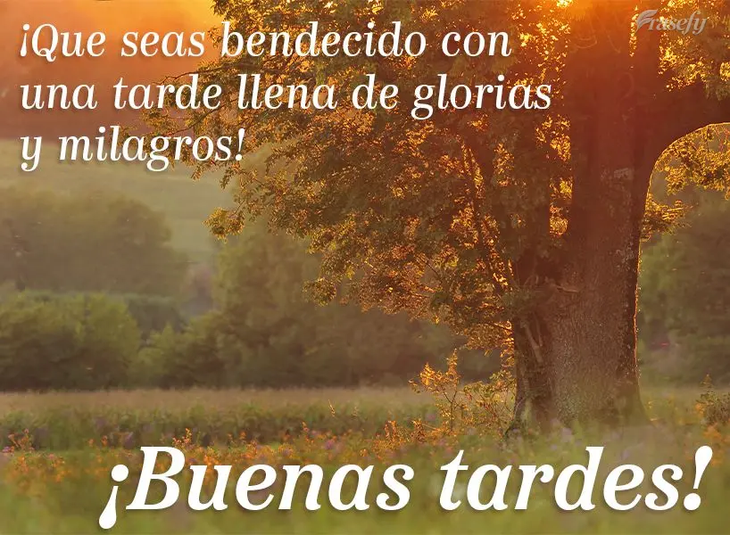 ¡Que seas bendecido con una tarde llena de glorias y milagros! ¡Buenas tardes!