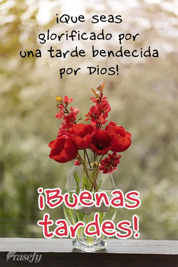 ¡Que seas glorificado por una tarde bendecida por Dios! ¡Buenas tardes!