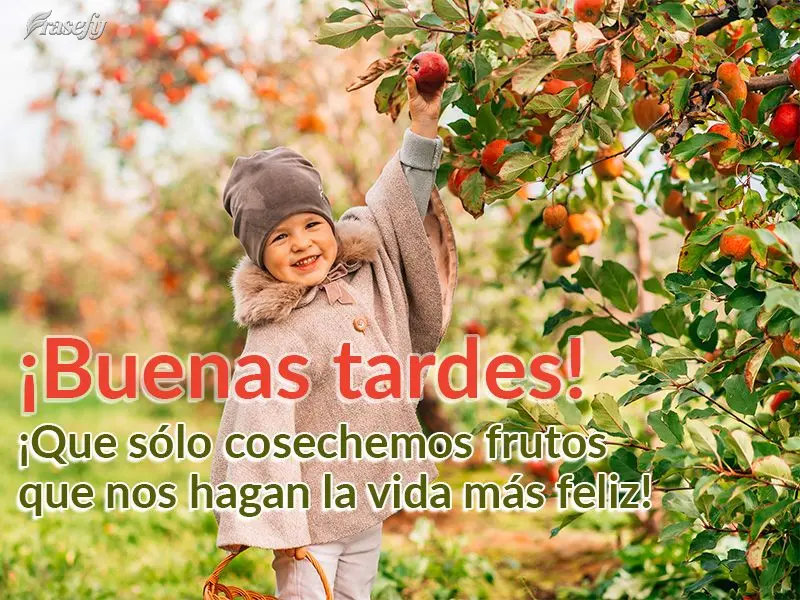 ¡Que sólo cosechemos frutos que nos hagan la vida más feliz! ¡Buenas tardes!