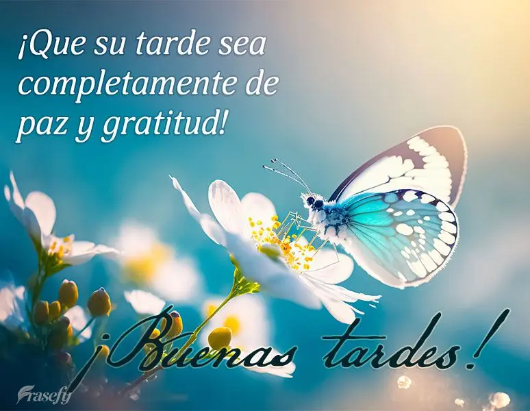 ¡Que su tarde sea completamente de paz y gratitud! ¡Buenas tardes!