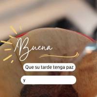 Que su tarde tenga paz y muchas bendiciones! ¡Buenas tardes!