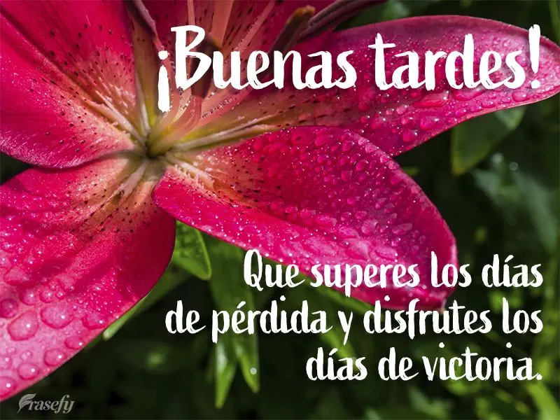 Que superes los días de pérdida y disfrutes los días de victoria. ¡Buenas tardes!