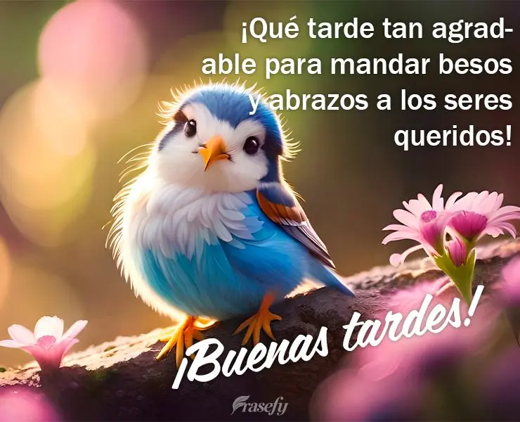 ¡Qué tarde tan agradable para mandar besos y abrazos a los seres queridos! ¡Buenas tardes! 