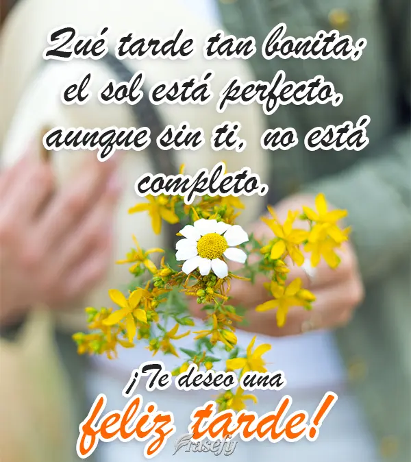 Qué tarde tan bonita; el sol está perfecto, aunque sin ti, no está completo. ¡Te deseo una feliz tarde!