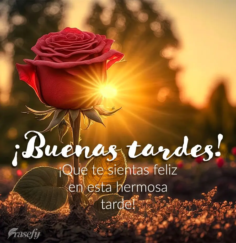 ¡Que te sientas feliz en esta hermosa tarde! ¡Buenas tardes!