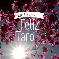 ¡Que tengad una Feliz tarde!