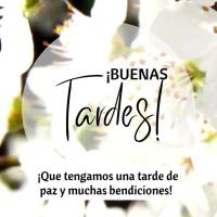 ¡Que tengamos una tarde de paz y muchas bendiciones! ¡Buenas tardes!