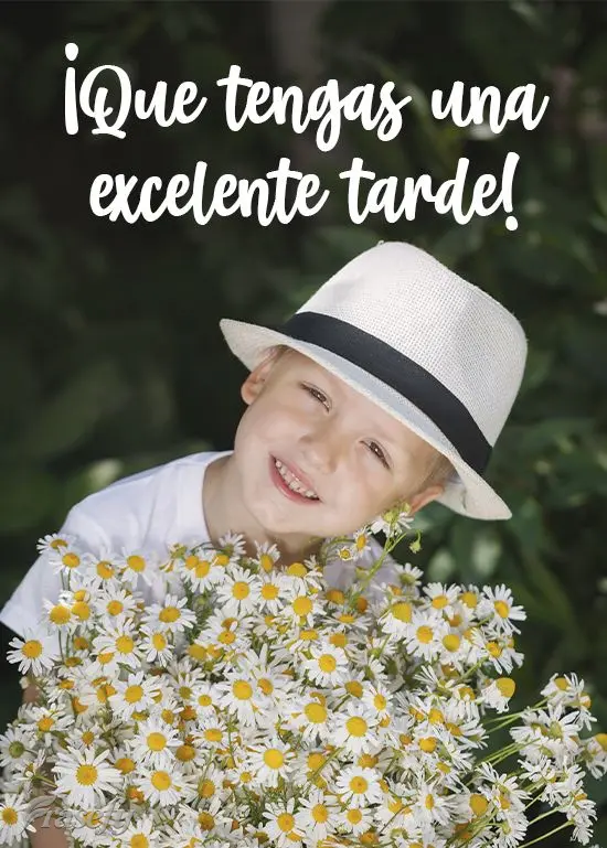 ¡Que tengas una excelente tarde!