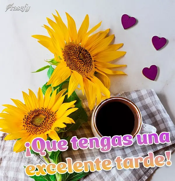 ¡Que tengas una excelente tarde!